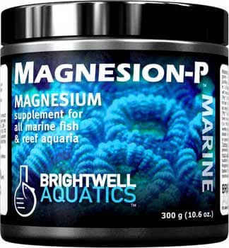 MAGNESIUM (Mg) 